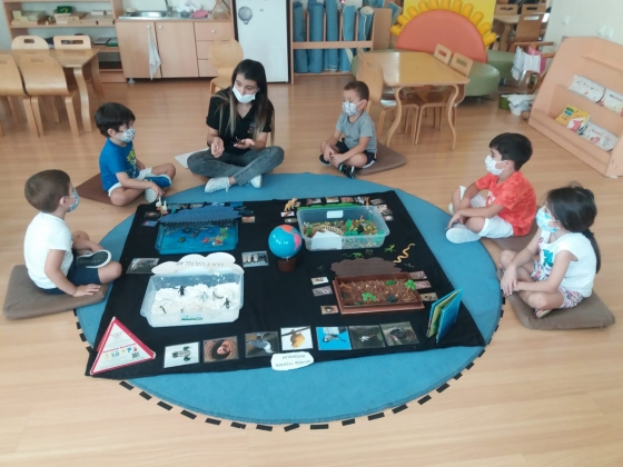 Montessori Proje Çalışmaları